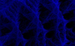 2014 05 30 Nameless Horse 00-black.jpg